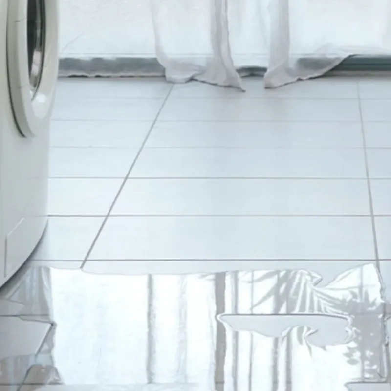 Appliance Leak Cleanup in Waterville, OH