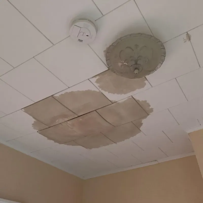 Ceiling Water Damage Repair in Waterville, OH
