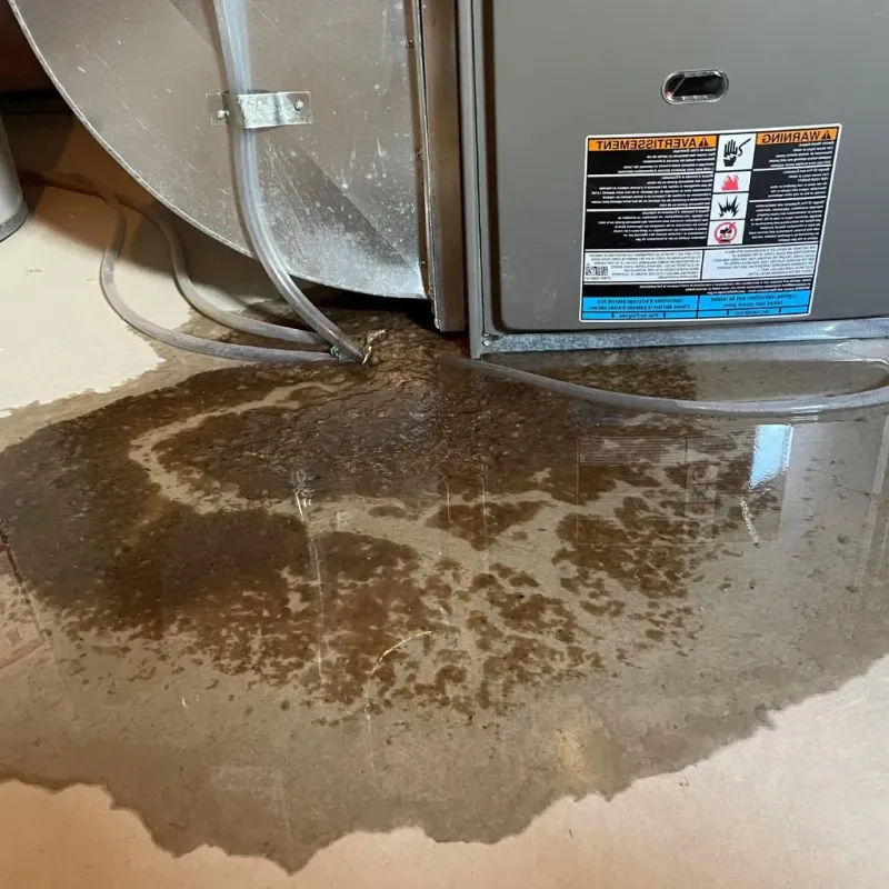 Pipe Burst and Leak Restoration in Waterville, OH