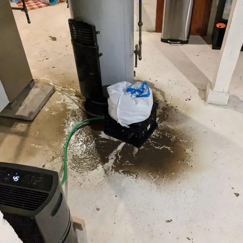 Sewage Backup Cleanup Service in Waterville, OH
